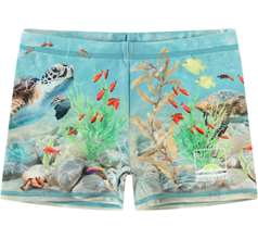 Norton Placed Swimwear